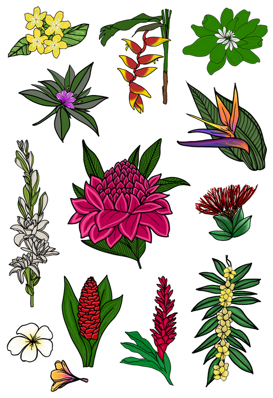 Florals of Hawaii Hand-drawn Sticker Sheet