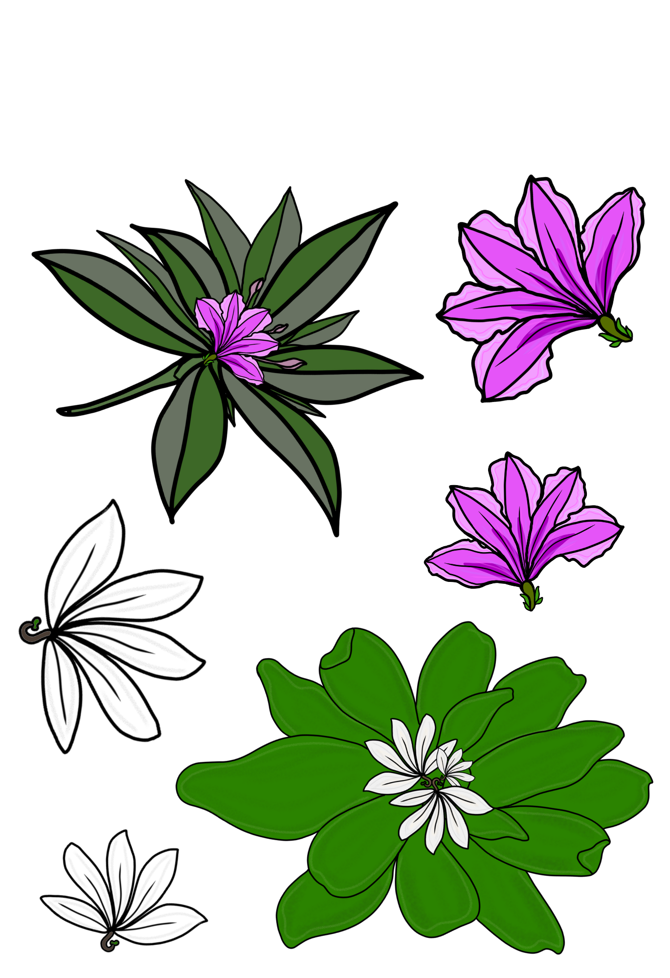 Naupaka Hand-drawn Sticker Sheet