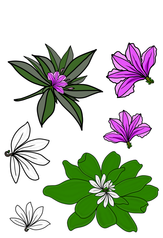 Naupaka Hand-drawn Sticker Sheet