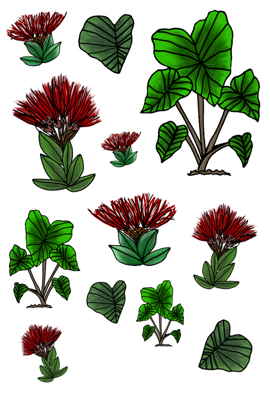 'Ohia Lehua and Kalo Hand-drawn Sticker Sheet