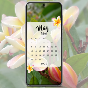 May Spring Plumeria Desktop and Phone Wallpapers - May 2022 (Mei) Freebies