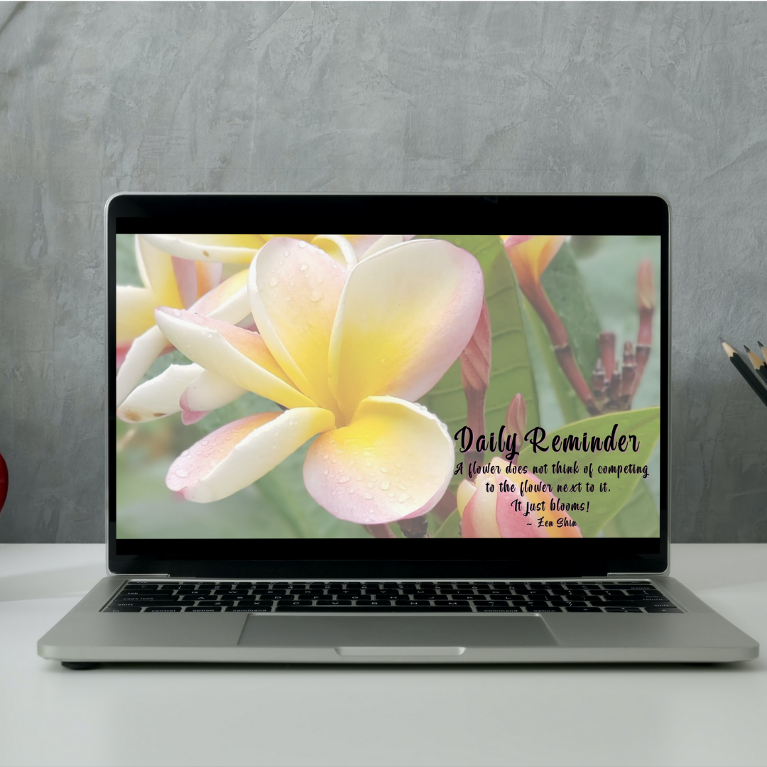 May Spring Plumeria Desktop and Phone Wallpapers - May 2022 (Mei) Freebies