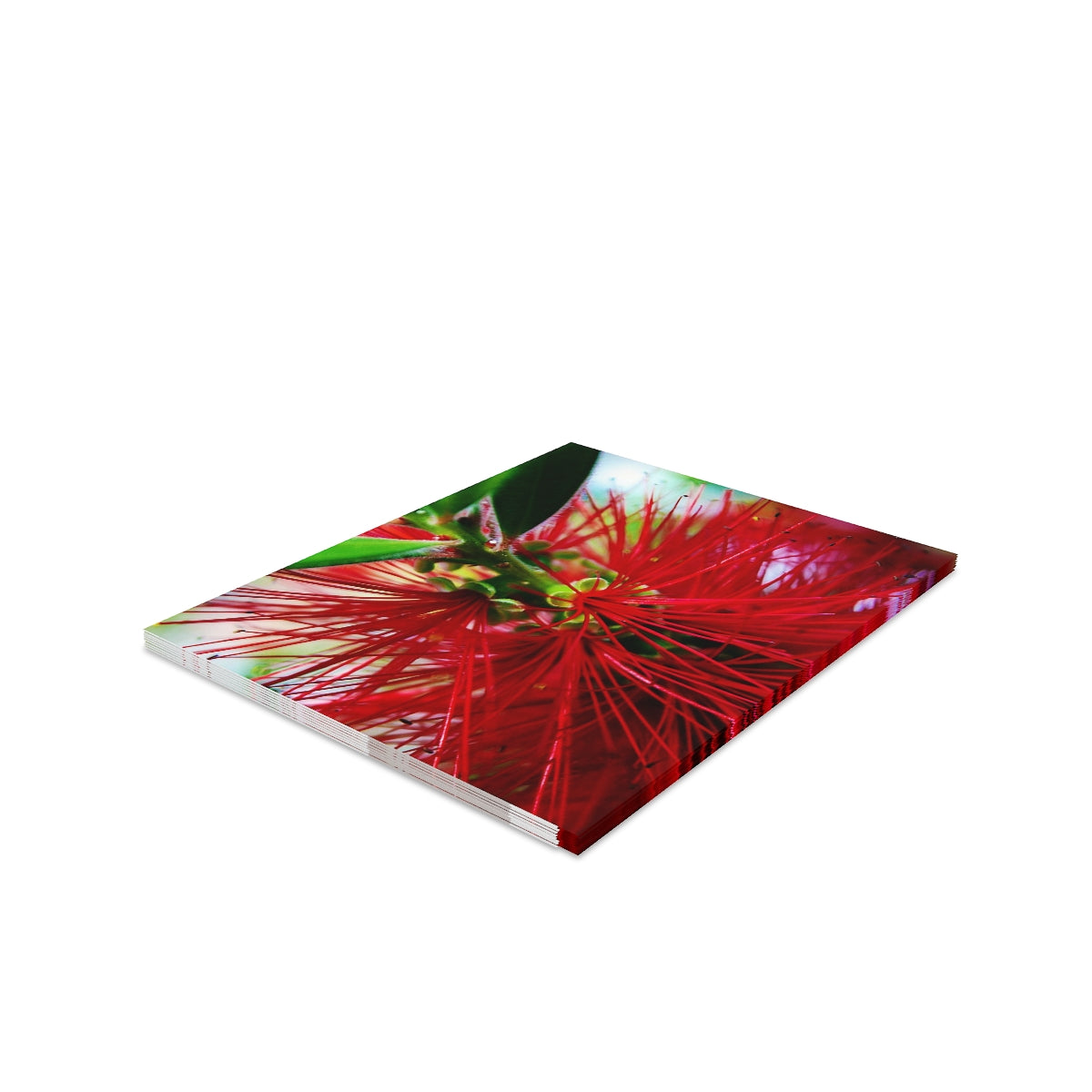 'Ohi'a Lehua Greeting Cards (8, 16, and 24 pcs)