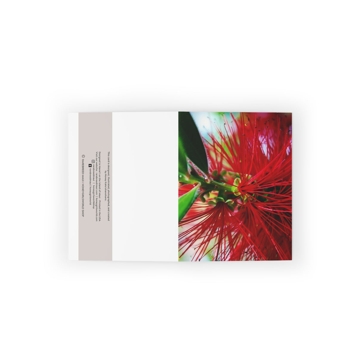 'Ohi'a Lehua Greeting Cards (8, 16, and 24 pcs)