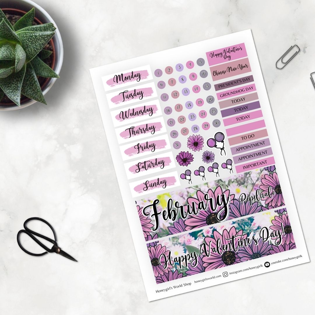 February Monthly Sticker Kit - Daisies