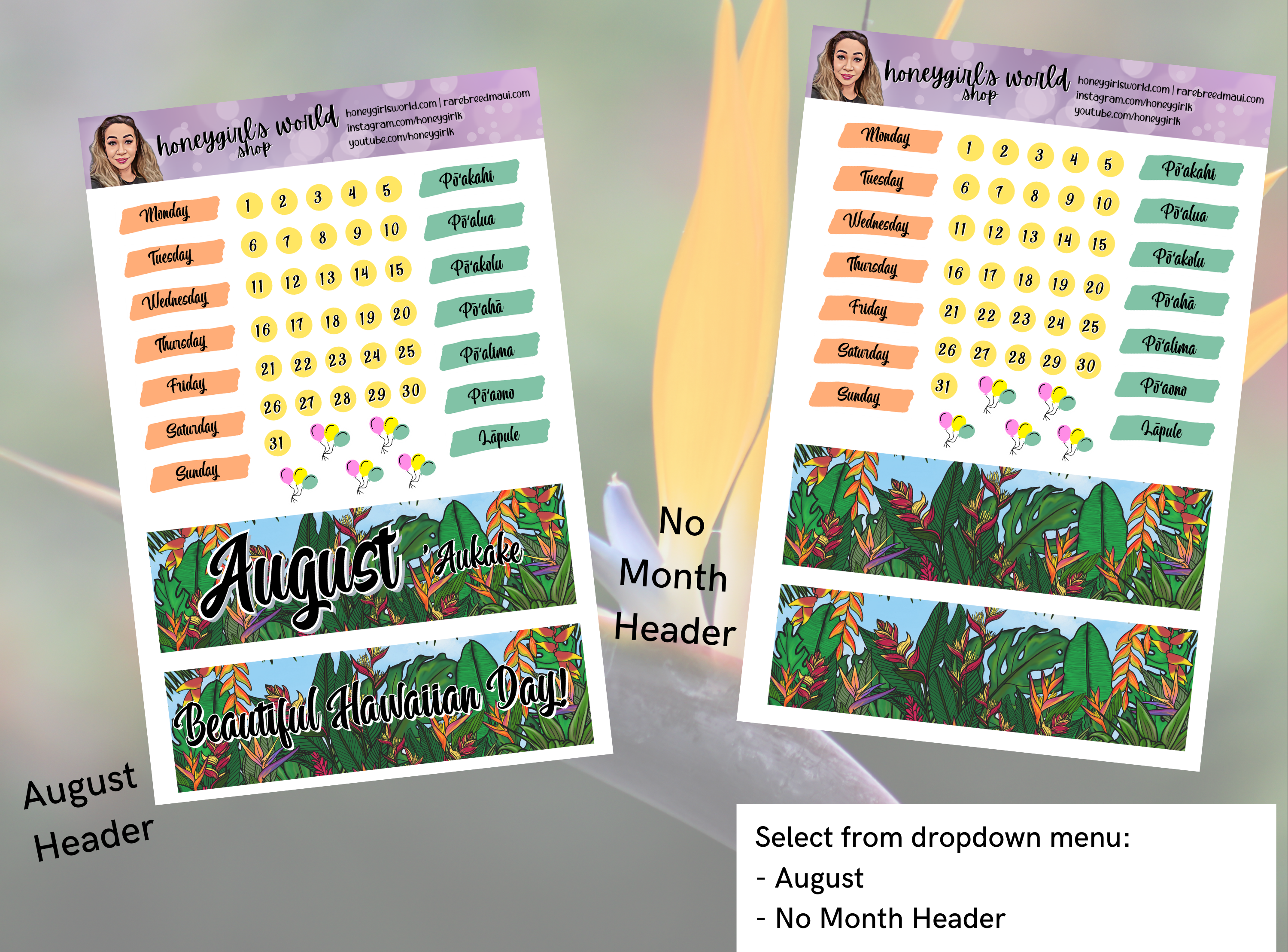 August Monthly Planner Sticker Kit - Beautiful Hawaiian Day - 6 Pages Total