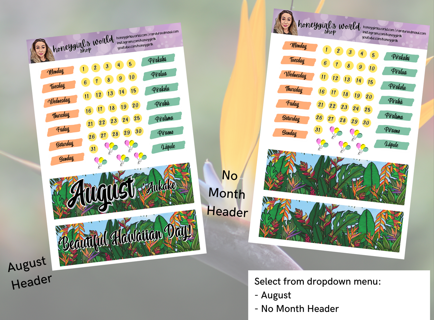 August Monthly Planner Sticker Kit - Beautiful Hawaiian Day - 6 Pages Total