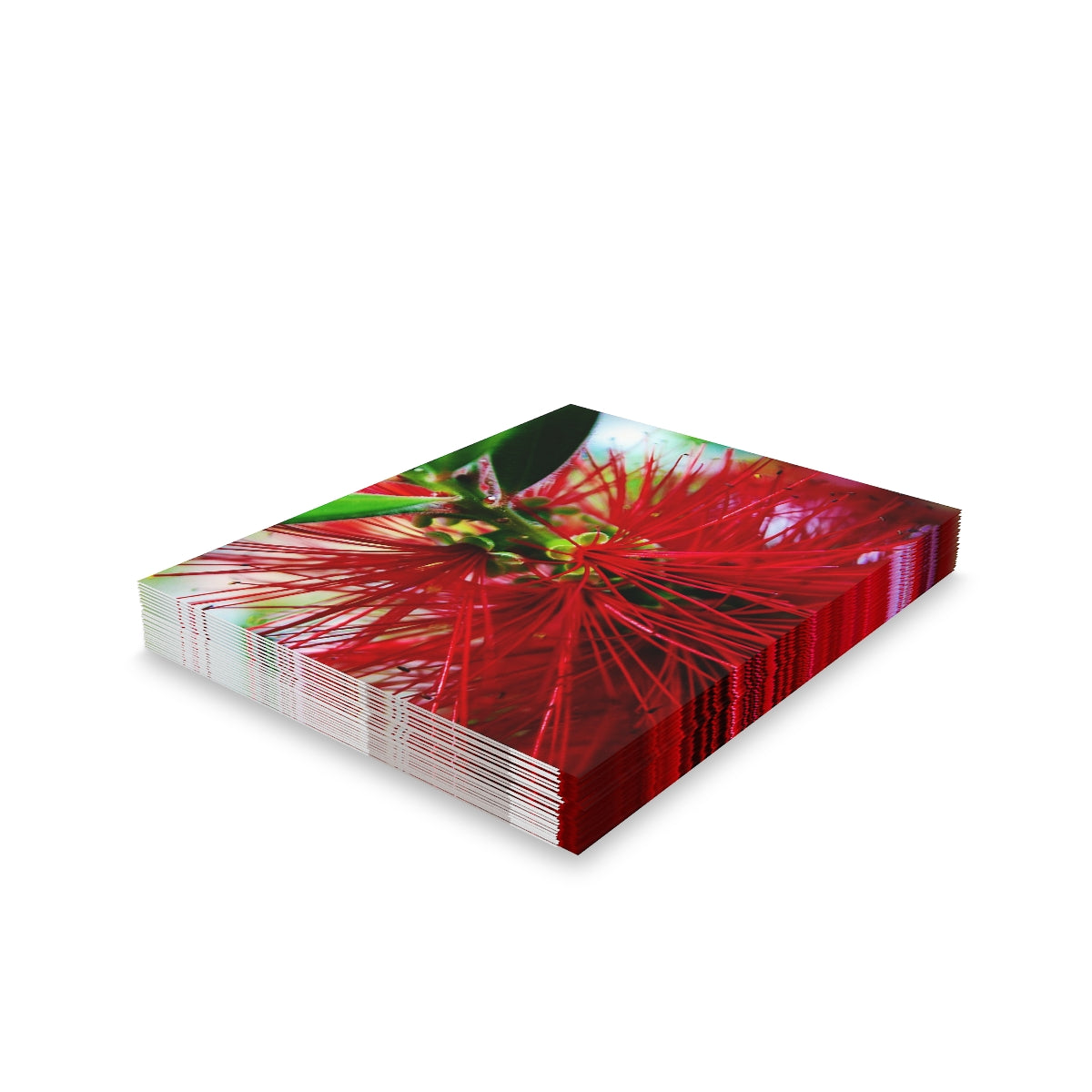 'Ohi'a Lehua Greeting Cards (8, 16, and 24 pcs)