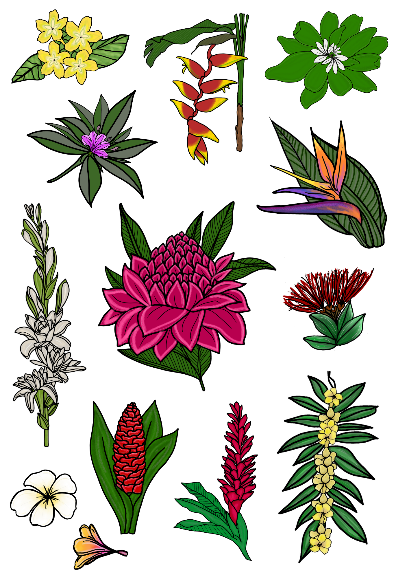 Florals of Hawaii Hand-drawn Sticker Sheet