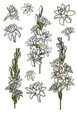 Load image into Gallery viewer, Tuberose Hand-drawn Sticker Sheet