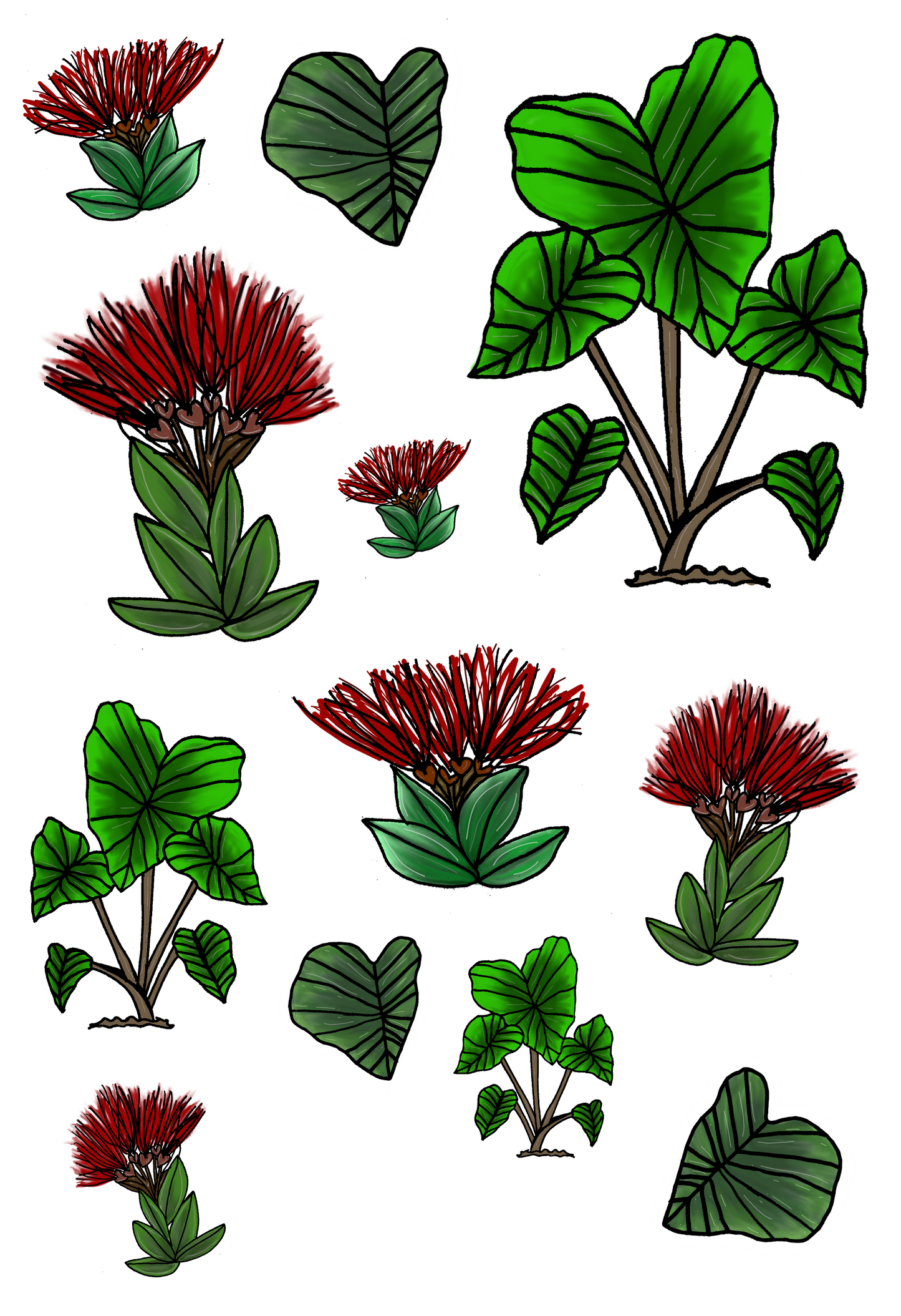 'Ohia Lehua and Kalo Hand-drawn Sticker Sheet